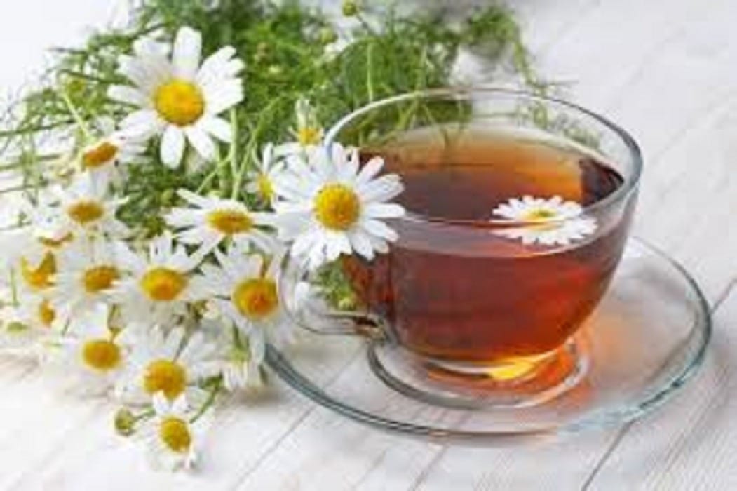 Чай от лайка. Как да излекуваме хемороидите с чай от лайка?