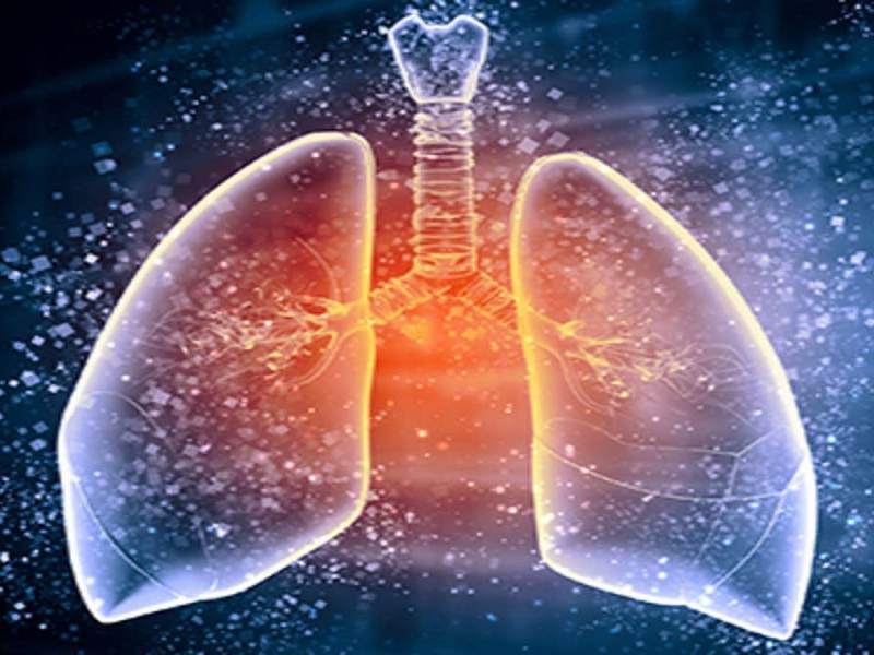 Как да изчистим белия дроб от цигарения дим и мръсния въздух