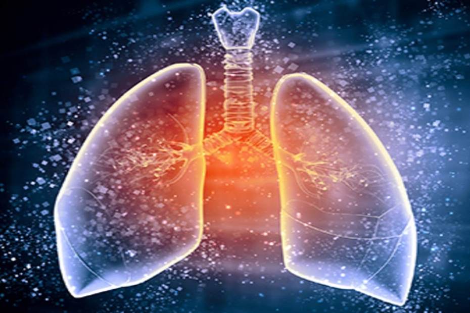 Как да изчистите белите дробов