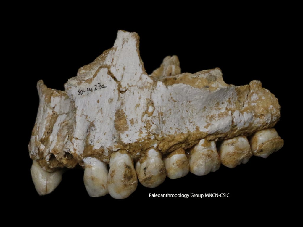 Неандерталски медицински познания - 10-те най-големи археологически открития