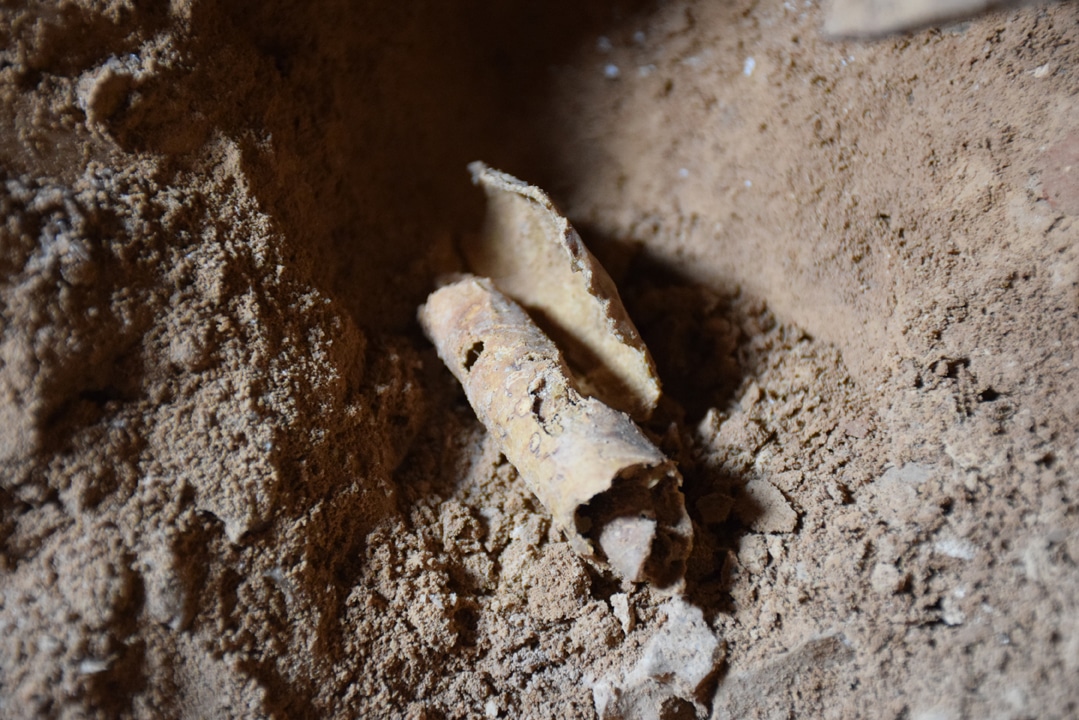 Нови свитъци от пещера в Мъртво море