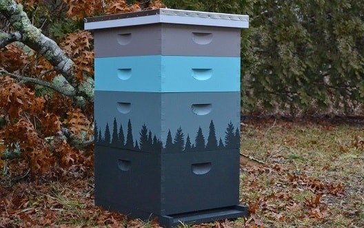 Как да боядисаме кошерите ни - боядисване на кошери. Как да подобрим живота на пчелите?