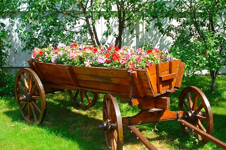 декоративна каруца с цветя - истинска красота - как да вдъхнем нов живот на старата каруца
