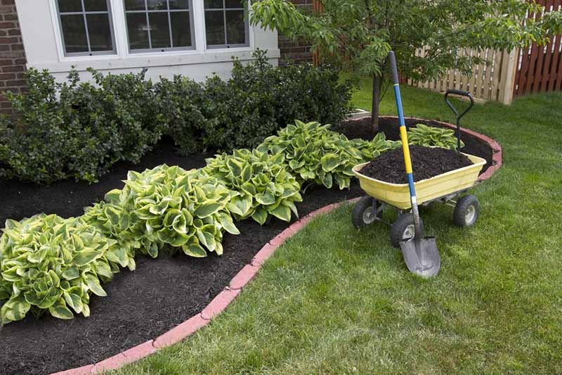 Компост - как да мулчираме растенията в градината