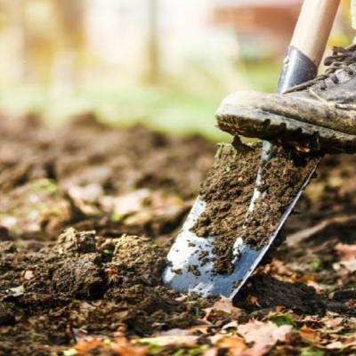 Как да подобрим почвата през есента с 5 различни метода