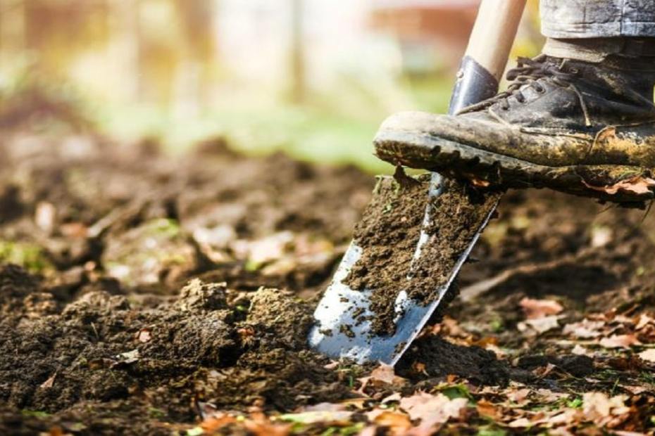 Как да подобрим почвата през есента в 5 стъпки - полезни съвети