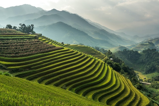 Оризовите тераси на Виетнам - най-красивите места в света