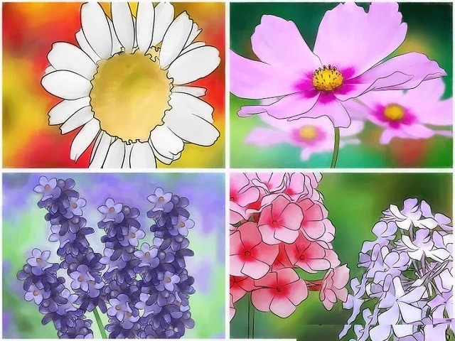 Засаждане на пролетните цветя - какви цветя да засадим в двора и в градината - как да си направим цветна градина