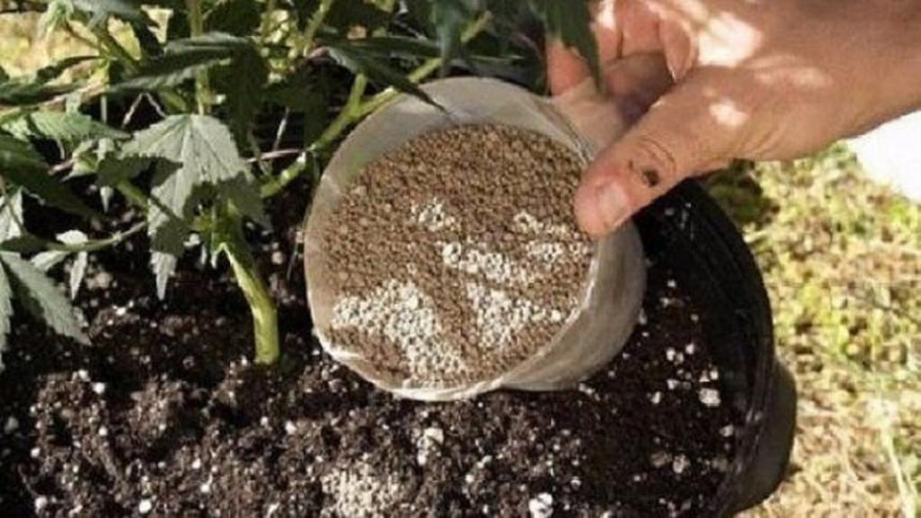 Как да използваме каменно брашно за биологично земеделие