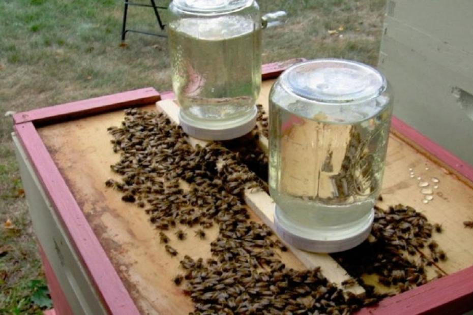 Как да приготвим захарен сироп за пчелите - различни рецепти