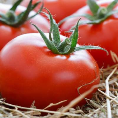 Как да запазим доматите свежи за дълго време