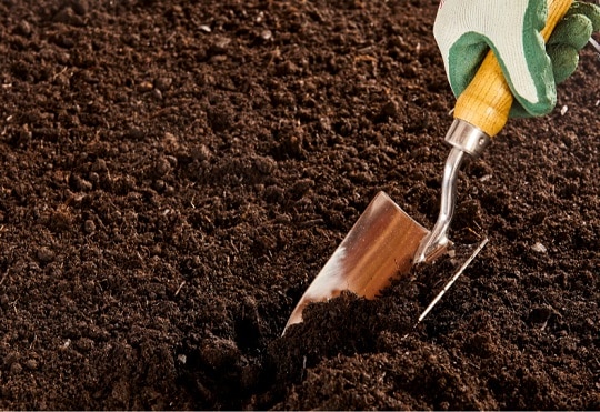 Подгответе почвата преди засаждане на семето