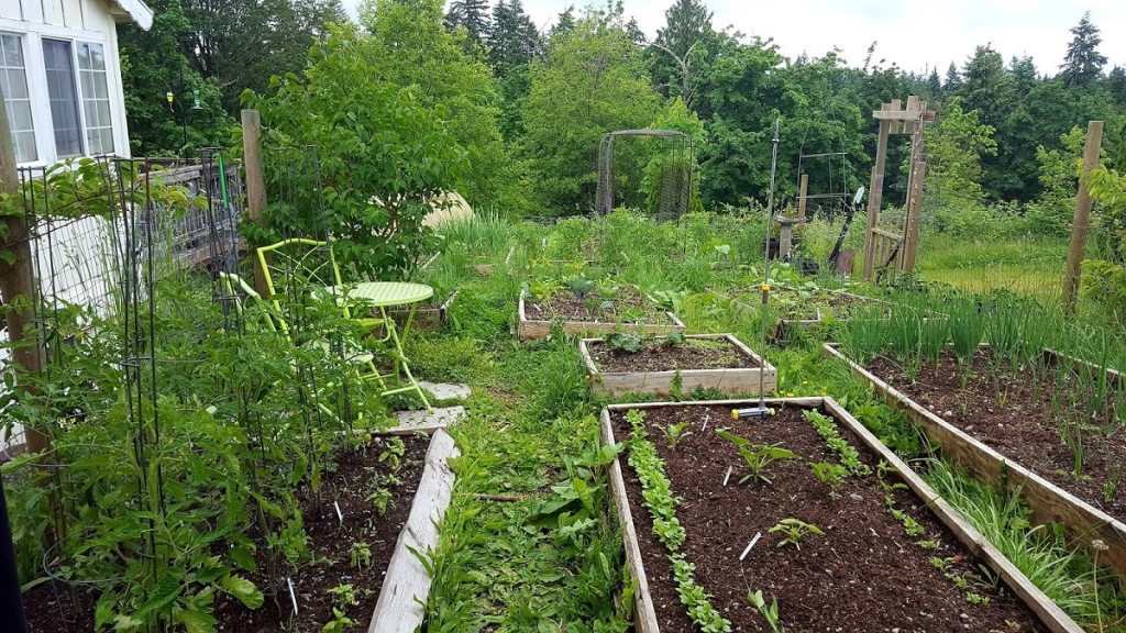 Сезонна работа в градината - края на май - началото на юни