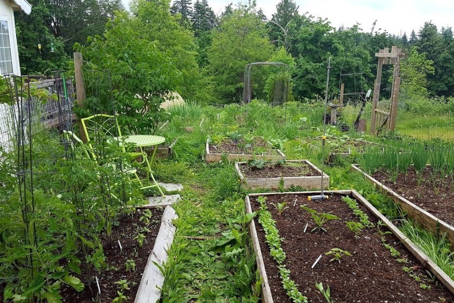 Сезонна работа в градината - края на май - началото на юни