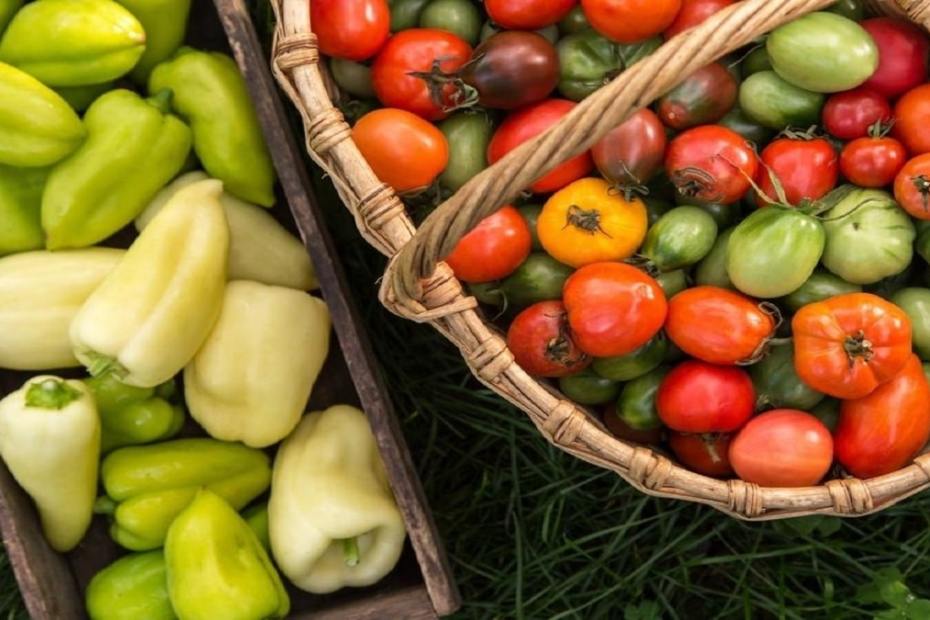 Как да запазим доматите, краставиците и чушките за по-дълго?