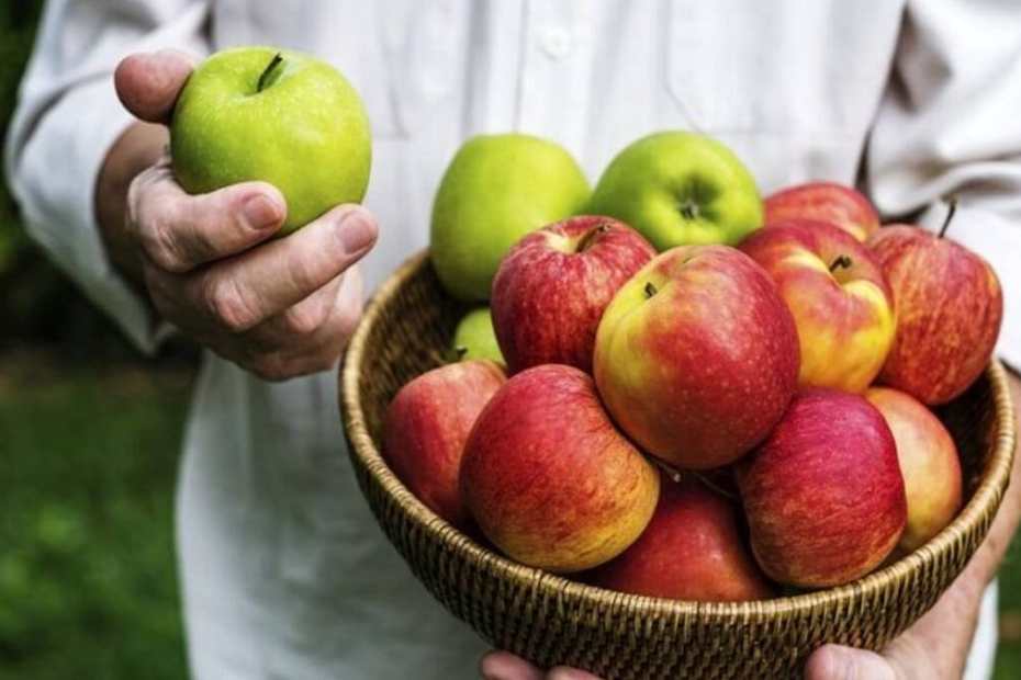 Как да съхраняваме ябълките през зимата