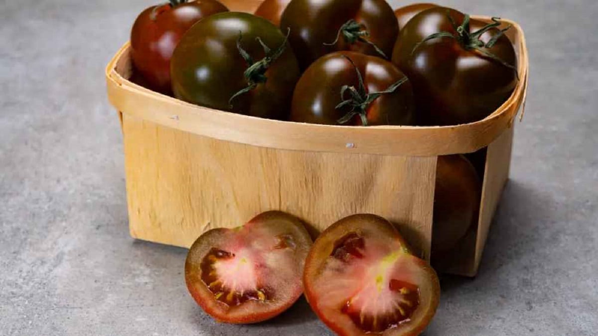Отглеждане на домати кумато – полезните черни домати