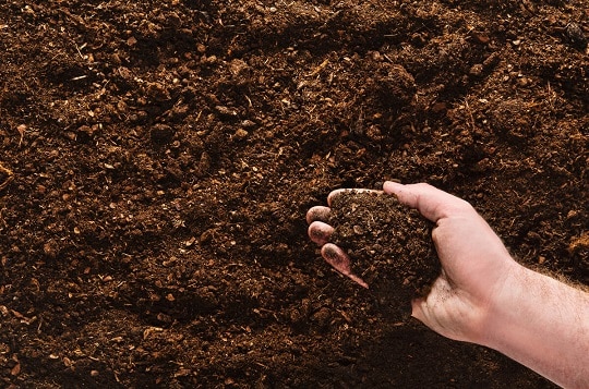 Какво да не правим с почвата