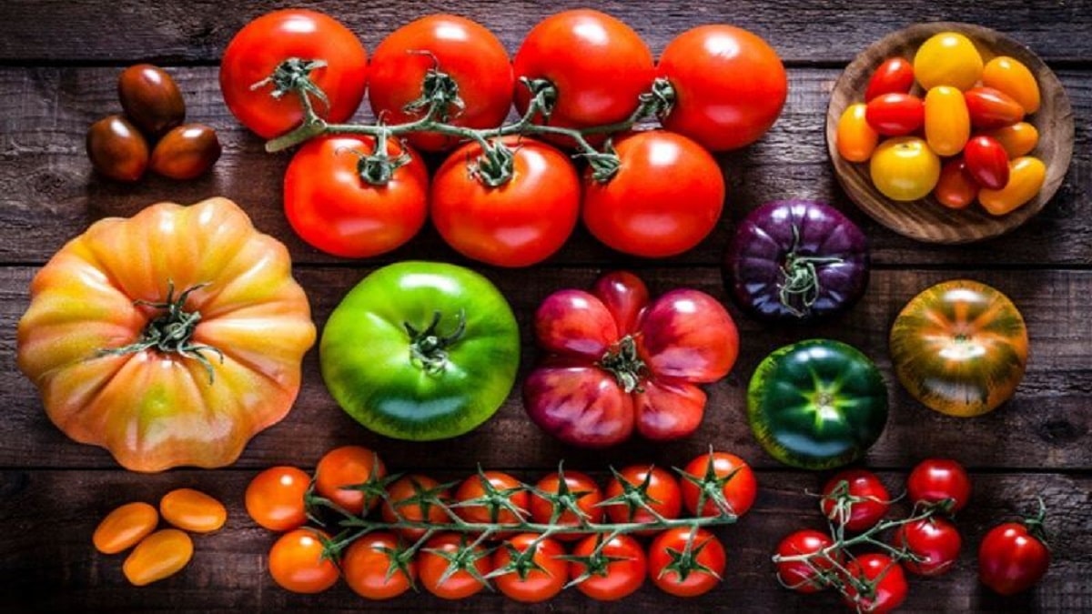 Подходящи сортове домати, които да отгледаме тази година