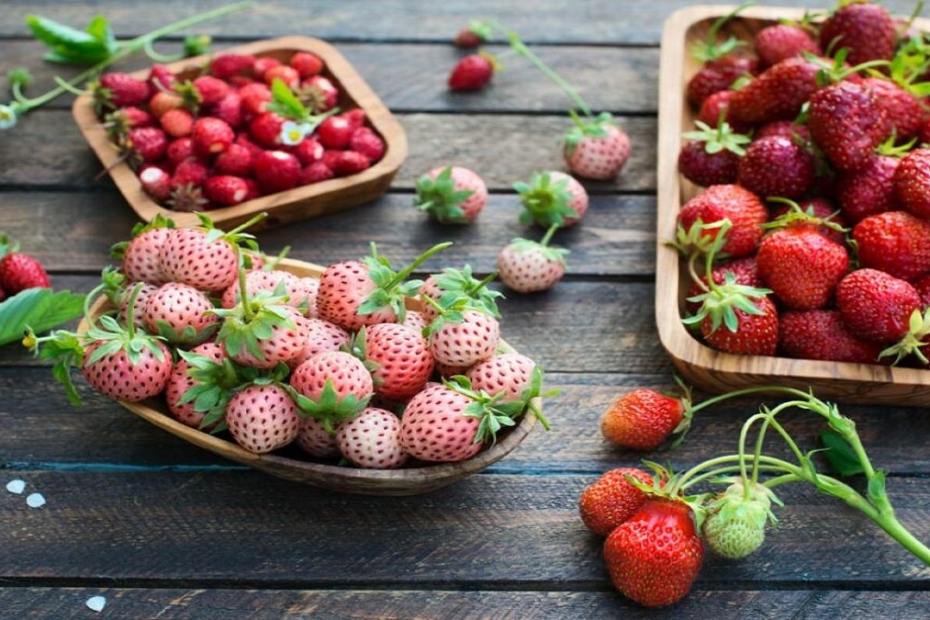 Strawberries of different varieties